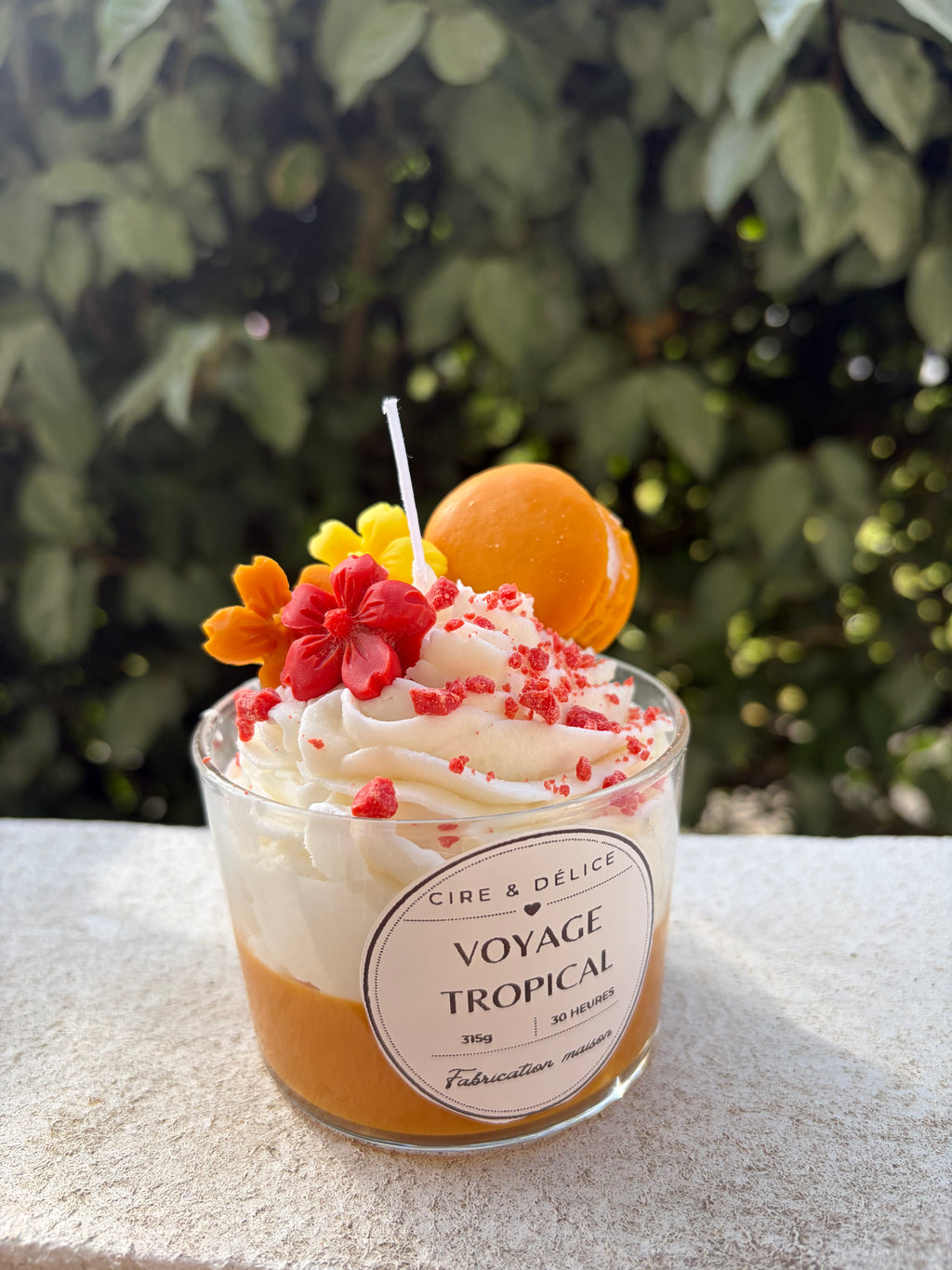 Voyage tropical 🌴