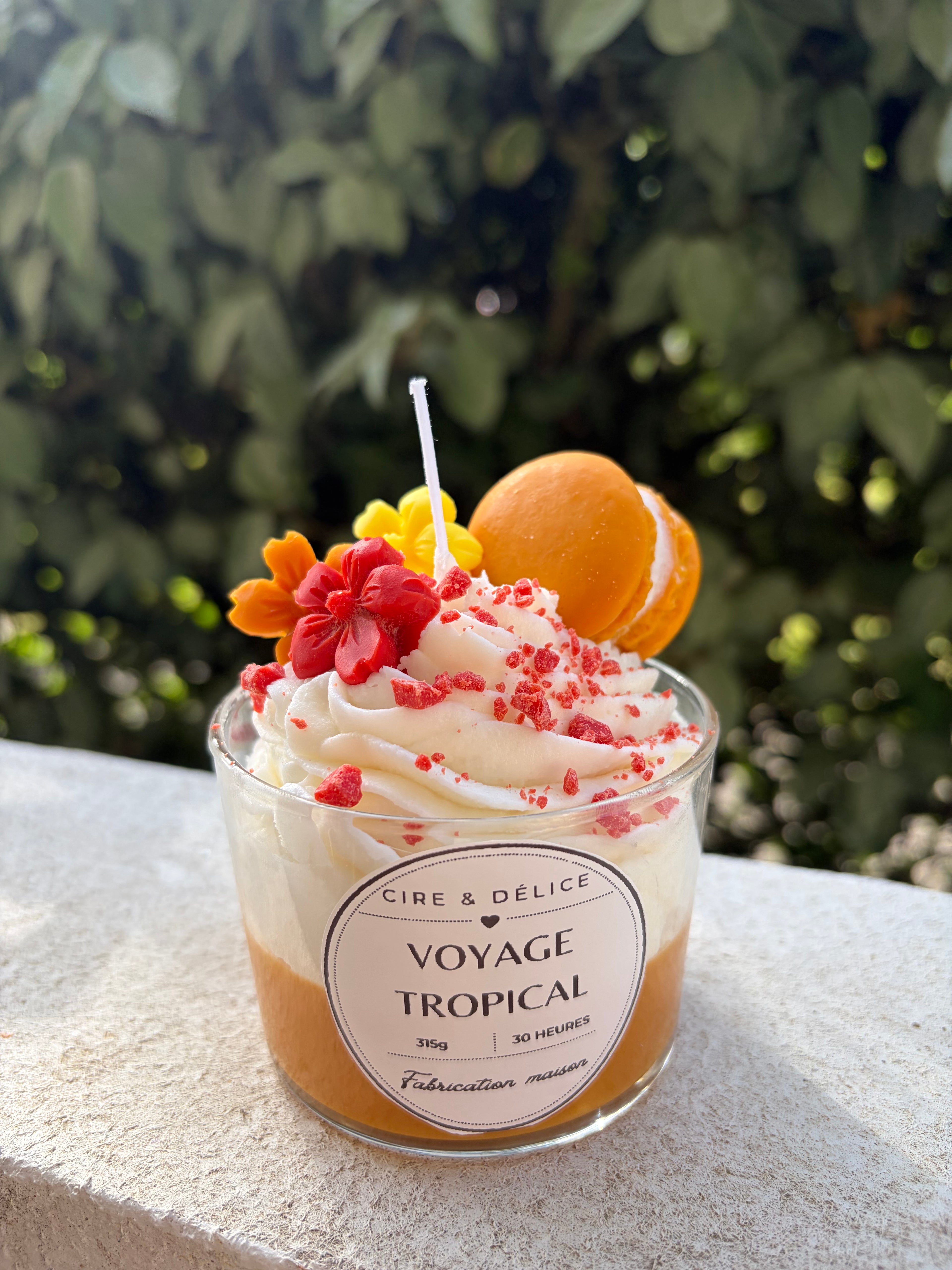 Voyage tropical 🌴